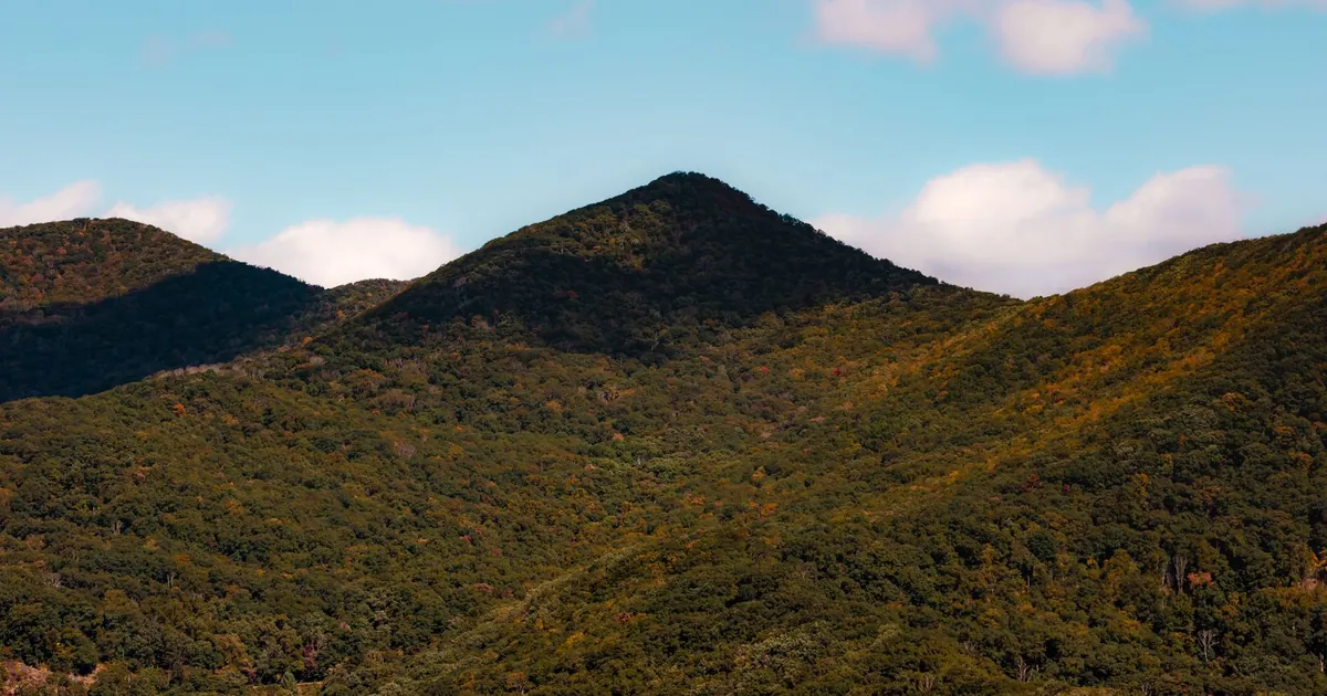 Asheville Neighborhoods Guide: Where to Stay, Eat, and Explore