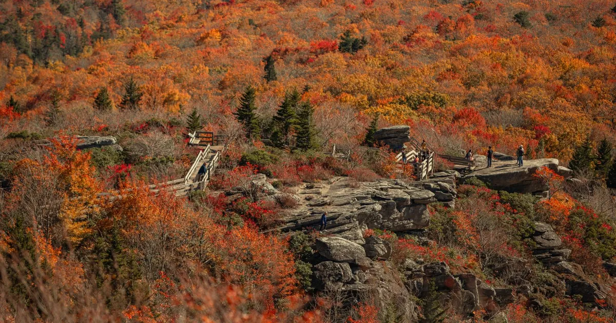 Best Hikes Near Asheville (and What Is Still Closed After Helene)