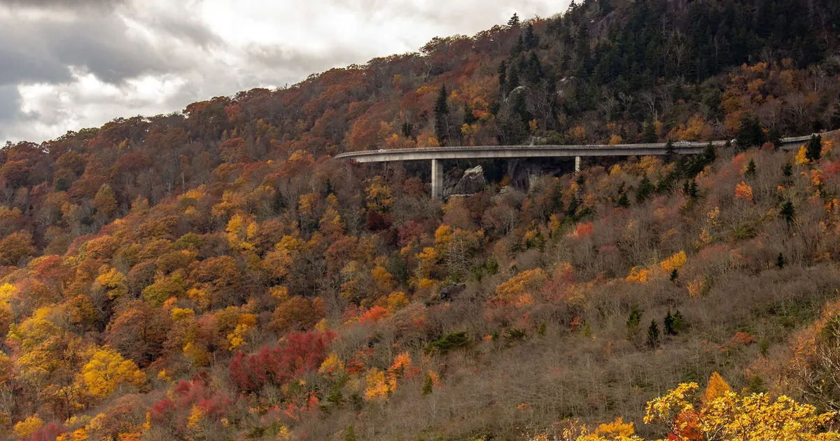 The Blue Ridge Parkway Near Asheville: What Is Open in 2026