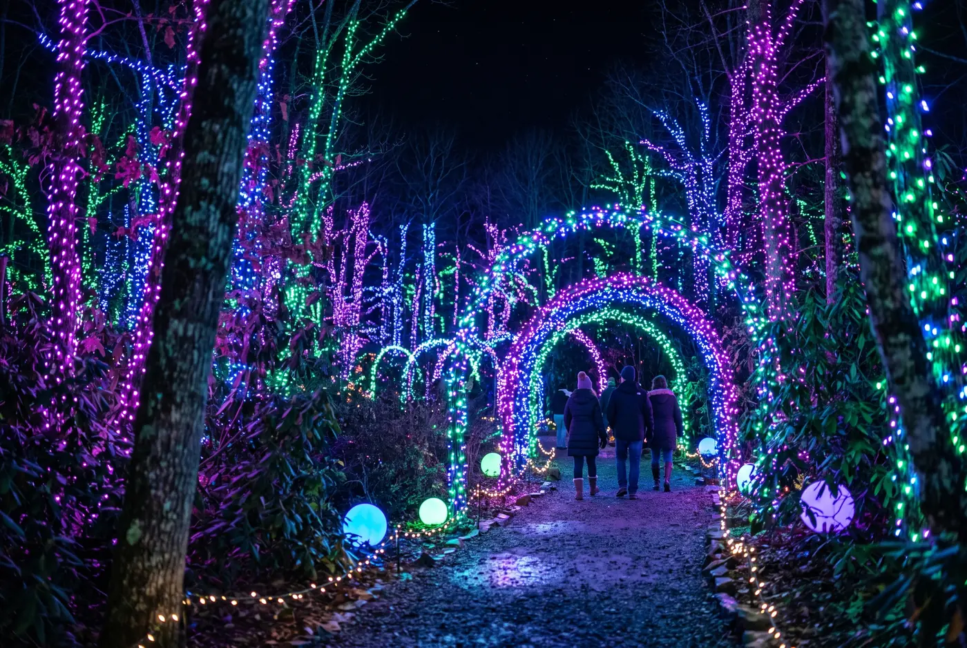 Winter Lights at the NC Arboretum: Tickets, Dates and What to Expect
