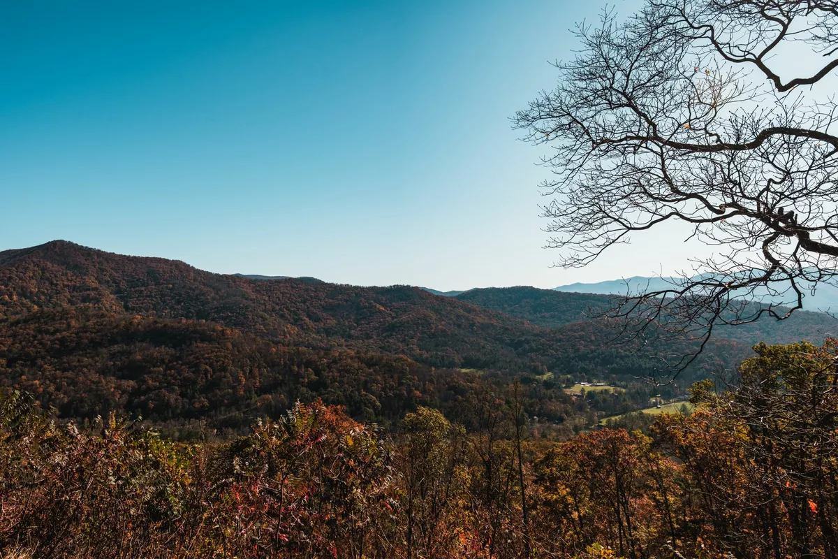 Fall in Asheville: Foliage, Festivals, and Mountain Drives