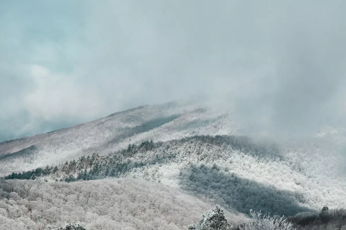 Winter in Asheville: Holiday Lights, Cozy Spots & Mountain Snow