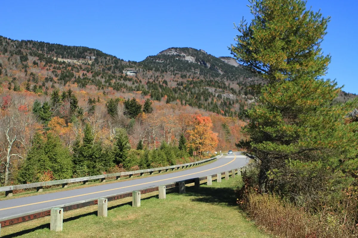 Craggy Gardens